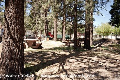 Wrightwood Village Park